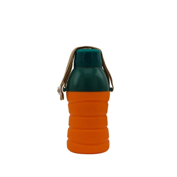 Bingo Water Bottle School Water Bottle For Kids