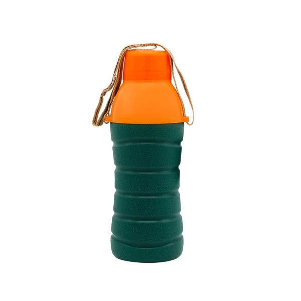 Bingo Water Bottle School Water Bottle For Kids