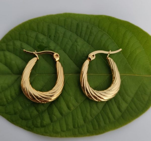 Premium Quality Baliyan 1 Karat Gold | Earrings Tops For Girls & Women