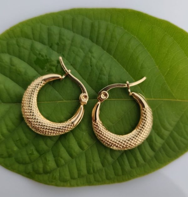 Premium Quality Baliyan 1 Karat Gold | Earrings Tops For Girls & Women